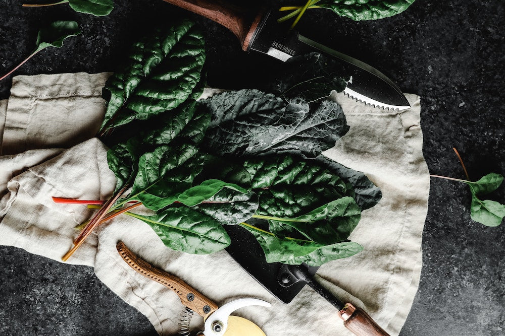 raw-vukoo-protein-bars-colorado-fitess